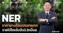 NER ราคายางร้อนปรอทแตก รายได้โตเข้มข้น3.2หมื่นล.