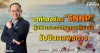 นาทีทองช้อน ”SNNP” ผู้บริหาร-กองทุนกอดหุ้นแน่น รับปันผลพุงกาง