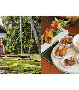 MINT ไมเนอร์ โฮเทลส์ ชวนสัมผัสประสบการณ์สงกรานต์สุดพิเศษทั่วประเทศไทย ตั้งแต่การแสดงริมแม่น้ำในกรุงเทพฯ ไปจนถึงบาร์บีคิวริมชายหาดที่เกาะสมุย ค้นพบประสบการณ์การพักผ่อนช่วงเทศกาลสุดพิเศษนี้ ณ จุดหมายที่ได้รับความนิยมมากที่สุดของประเทศไทย