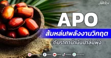 APO ส้มหล่น!พลังงานวิกฤต ดันราคาน้ำมันปาล์มพุ่ง