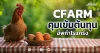 CFARM คุมเข้มต้นทุน อัพกำไรแกร่ง