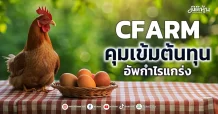 CFARM คุมเข้มต้นทุน อัพกำไรแกร่ง