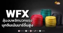 ด่วน!!! (มิติหุ้น-หุ้นเจาะ) 🔥 WFX🔥 ลุ้นงบพลิกบวกแรง บุกจีนเน้นมาร์จิ้นสูง
