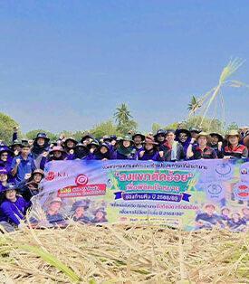 กลุ่ม KTIS จัดกิจกรรม “ลงแขกตัดอ้อย” ระดมพนักงานทุกส่วนรวมพลังช่วยชาวไร่ ลดภาระช่วงวิกฤตน้ำมันแพง