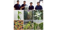 วว. ร่วมขับเคลื่อนเศรษฐกิจฐานรากบนพื้นที่สูง ส่งเสริมปลูกวานิลลา มุ่งเป้าเกษตรยั่งยืน