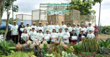 SIG จับมือ WWF ประเทศไทย เผยความคืบหน้า โครงการ Forests Forward ปีที่ 2