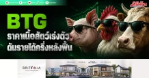 BTG ราคาเนื้อสัตว์เร่งตัว ดันรายได้ครึ่งหลังฟื้น