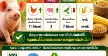 กลุ่มฟาร์มสัตว์บก Sentiment บวกต่อเนื่อง