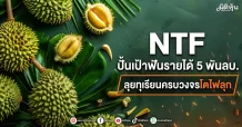 NTF ปั้นเป้าฟันรายได้ 5 พันลบ. ลุยทุเรียนครบวงจรโตไฟลุก