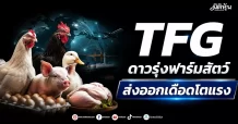 TFG ดาวรุ่งฟาร์มสัตว์ ส่งออกเดือดโตแรง