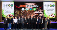 4 สมาคมมันสำปะหลังไทย ประกาศภาวะวิกฤตหัวมันสำปะหลังขั้นรุนแรง ห่วงกระทบห่วงโซ่อุตสาหกรรม