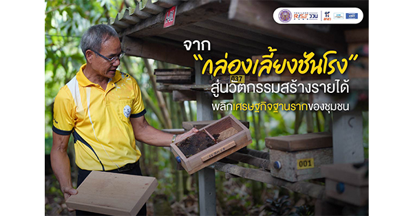 จาก “กล่องเลี้ยงชันโรง” สู่นวัตกรรมสร้างรายได้ พลิกเศรษฐกิจฐานรากของชุมชน