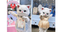 “Whimsy Blurry” ขวัญใจใหม่ของเหล่าบรรดามัมเหมียว ด้วยกลยุทธ์ของ WACOAL