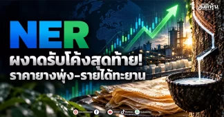NER ผงาดรับโค้งสุดท้าย! ราคายางพุ่ง–รายได้ทะยาน