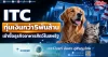 ITC ทุ่มเงินกว่า5พันล้าน เข้าซื้อธุรกิจอาหารสัตว์ในสหรัฐ
