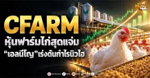 ด่วน!!!(มิติหุ้น -หุ้นเจาะ) CFARM หุ้นฟาร์มไก่สุดแจ่ม “เอลนีโญ”เร่งดันกำไรนิวไฮ
