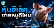 เด็กแนว (เช้า) ” หุ้นอิเล็ค ” ขายหมู ดีไหม?